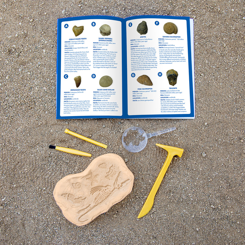 Geosafari Jr Fossil Excavation Kit