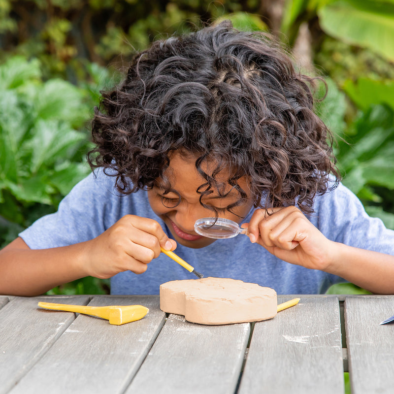 Geosafari Jr Fossil Excavation Kit