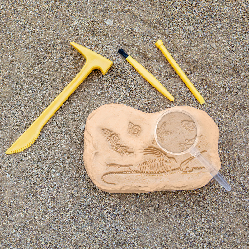 Geosafari Jr Fossil Excavation Kit