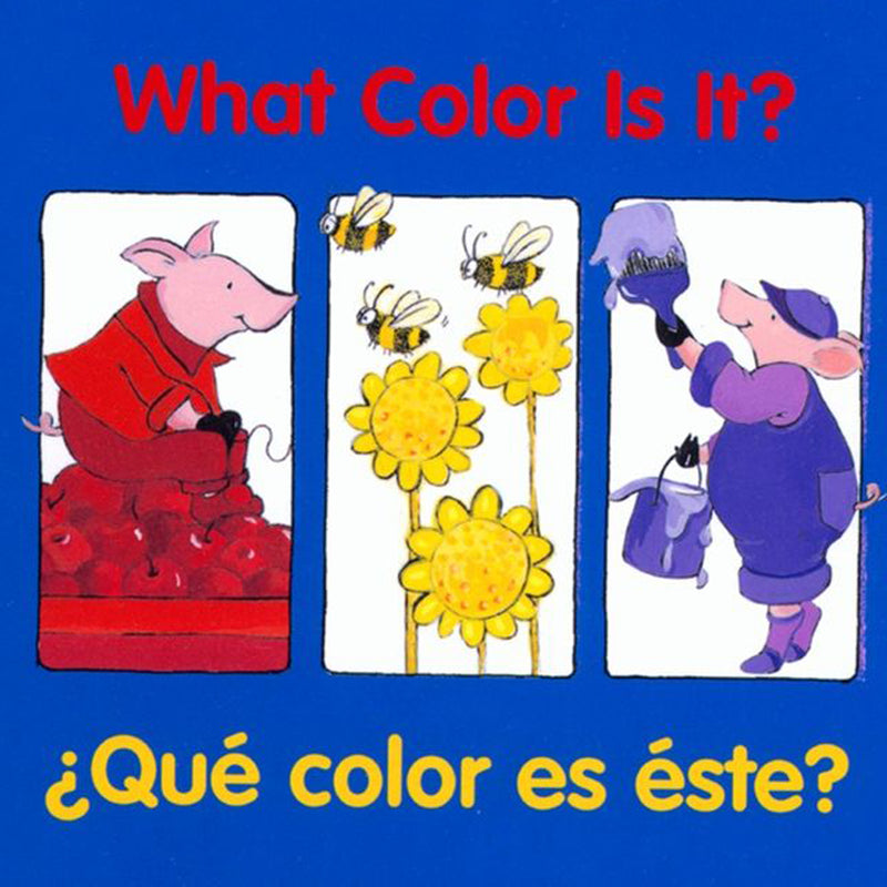 What Color Is It Bilingual Book