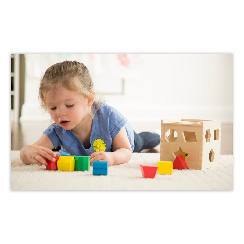 Shape Sorting Cube