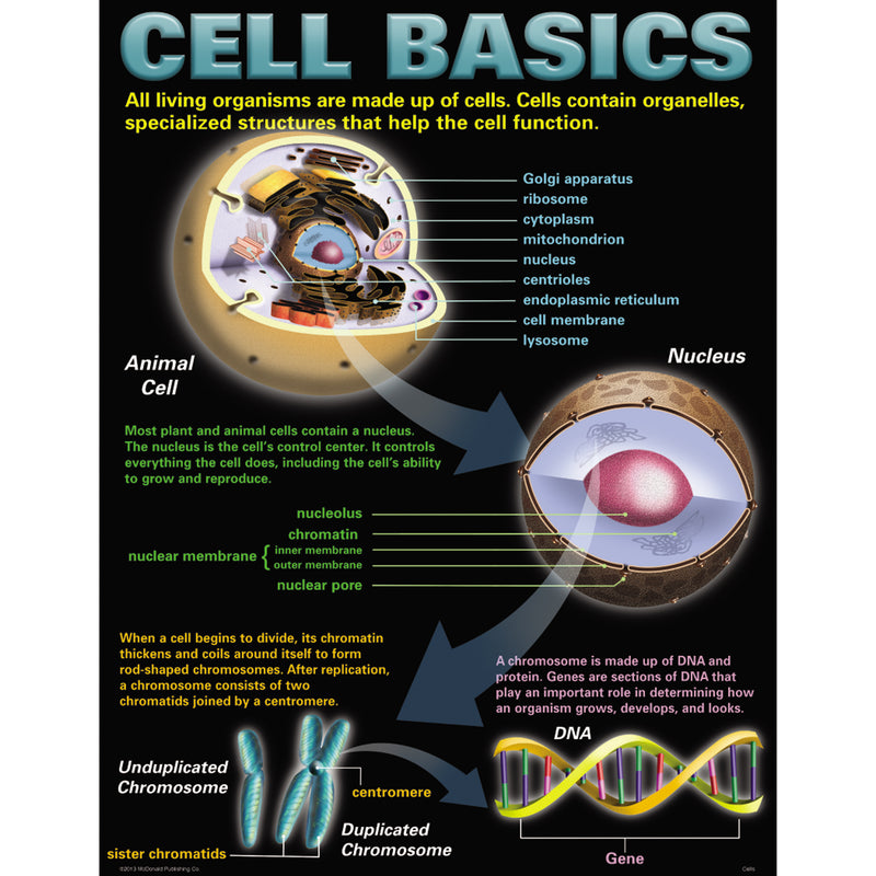 Cells Teaching Poster Set