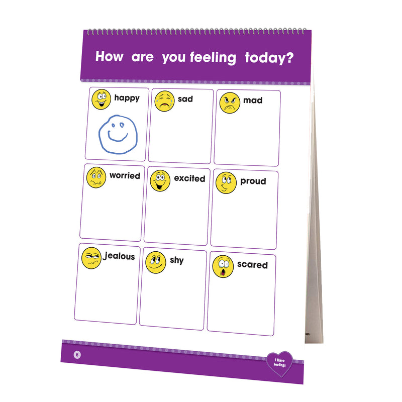 Learning Flip Chart Social Emotion Learning