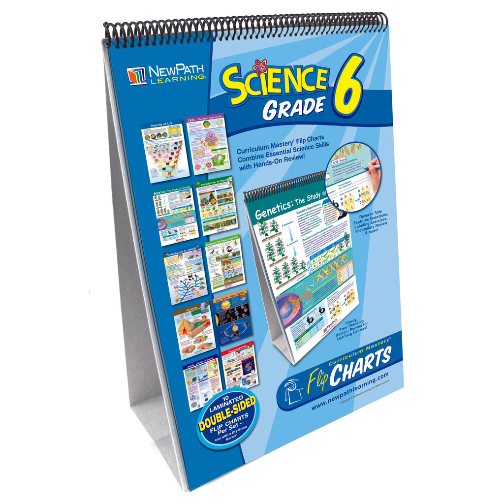 Science Flip Chart Set Gr 6