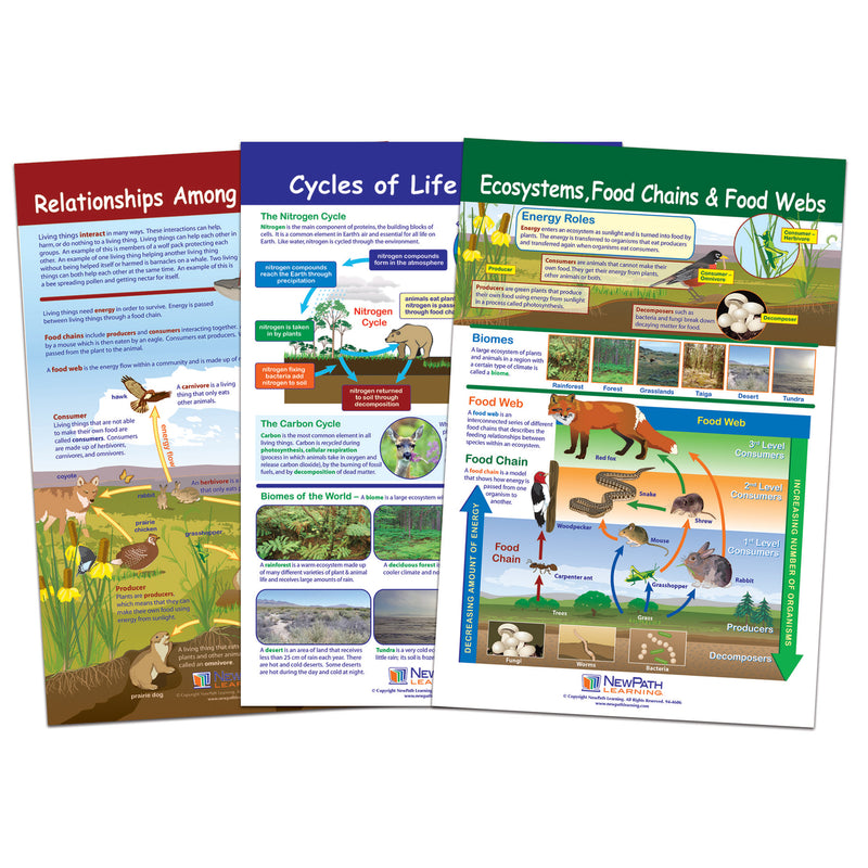 Ecology Bulletin Board Chart Set Grades 3-5