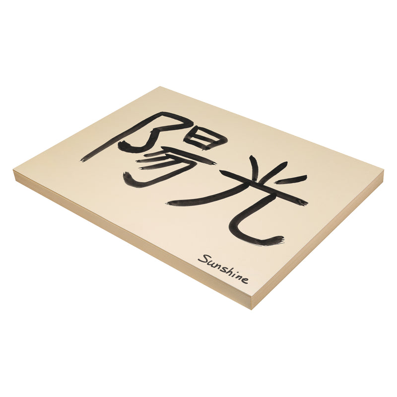 Manila Tagboard 18 X 24 100shts