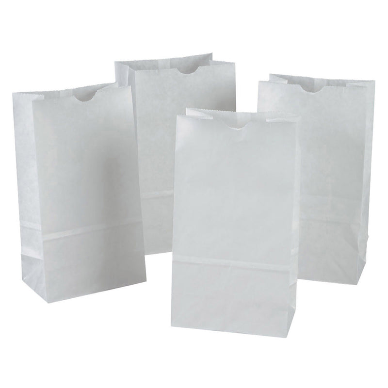 Rainbow Bags 100 White 6x11