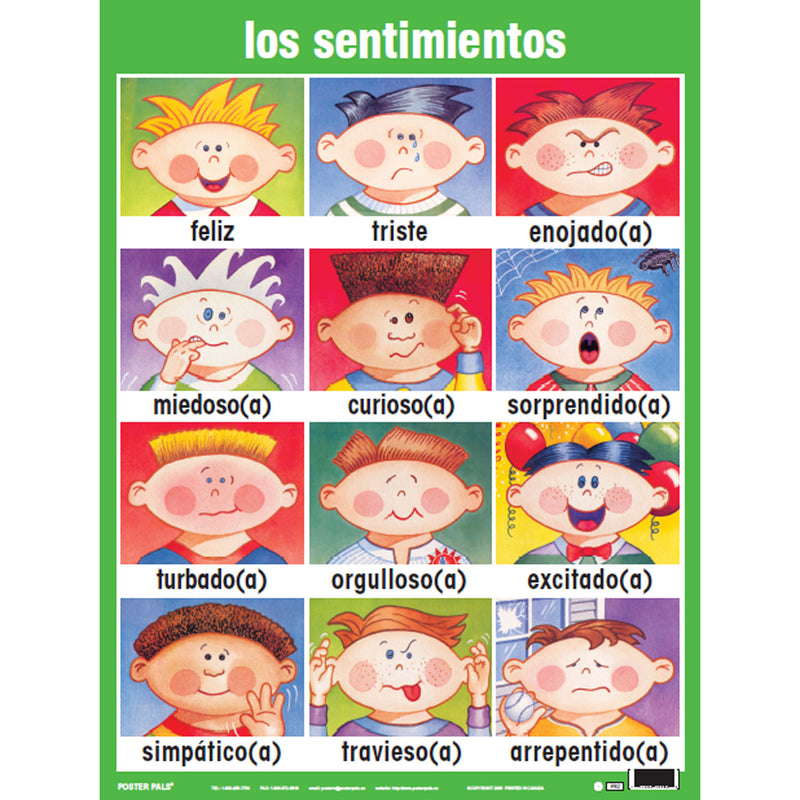 Essential Clss Posters St I Spanish