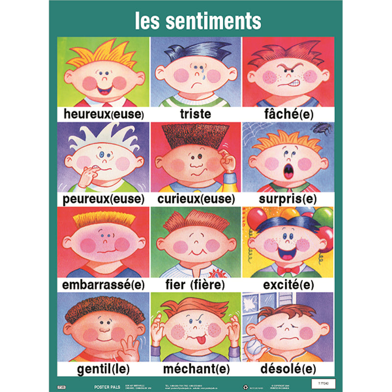 Essential Clss Posters Set I French