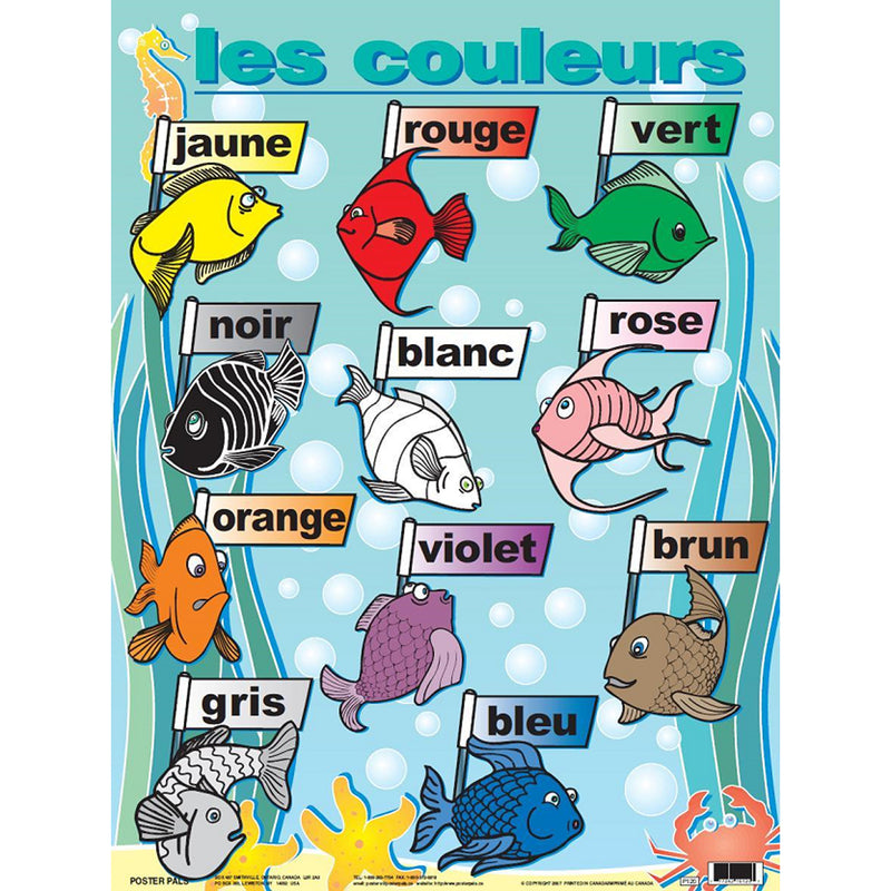 Essential Clss Posters Set 2 French