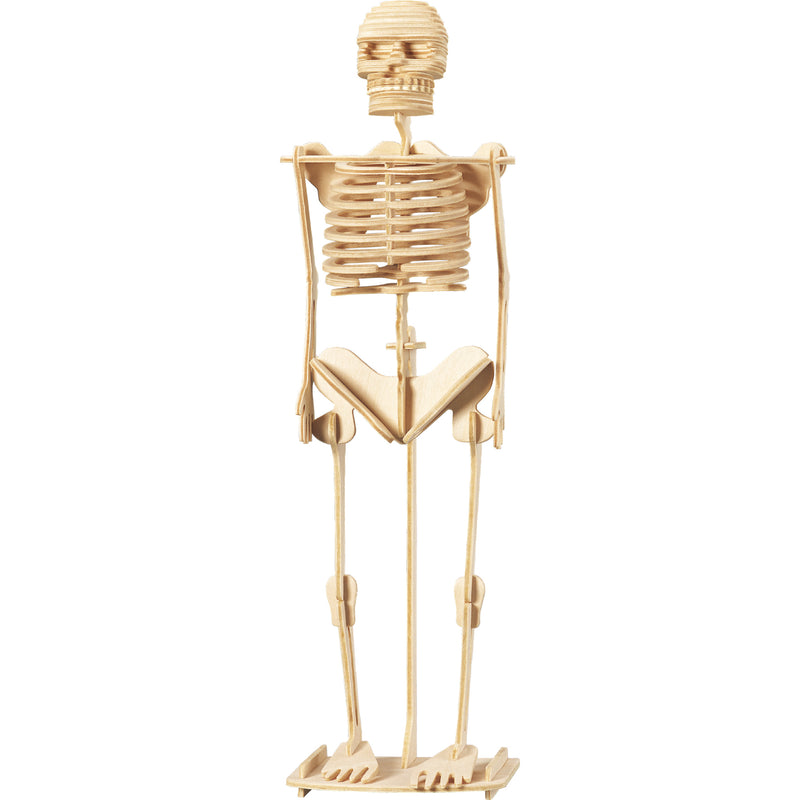 Tin Set Discover The Human Body Wonders Of Learning
