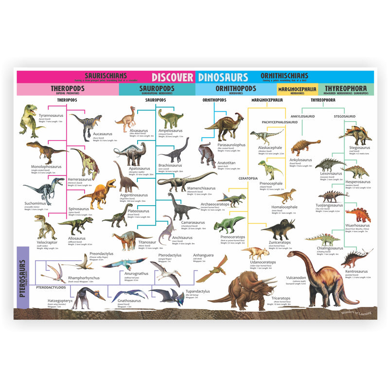 Tin Set Discover Dinosaurs Wonders Of Learning