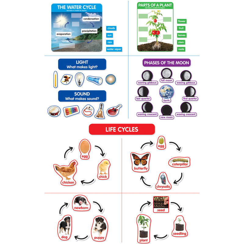 Bba Early Science Concepts