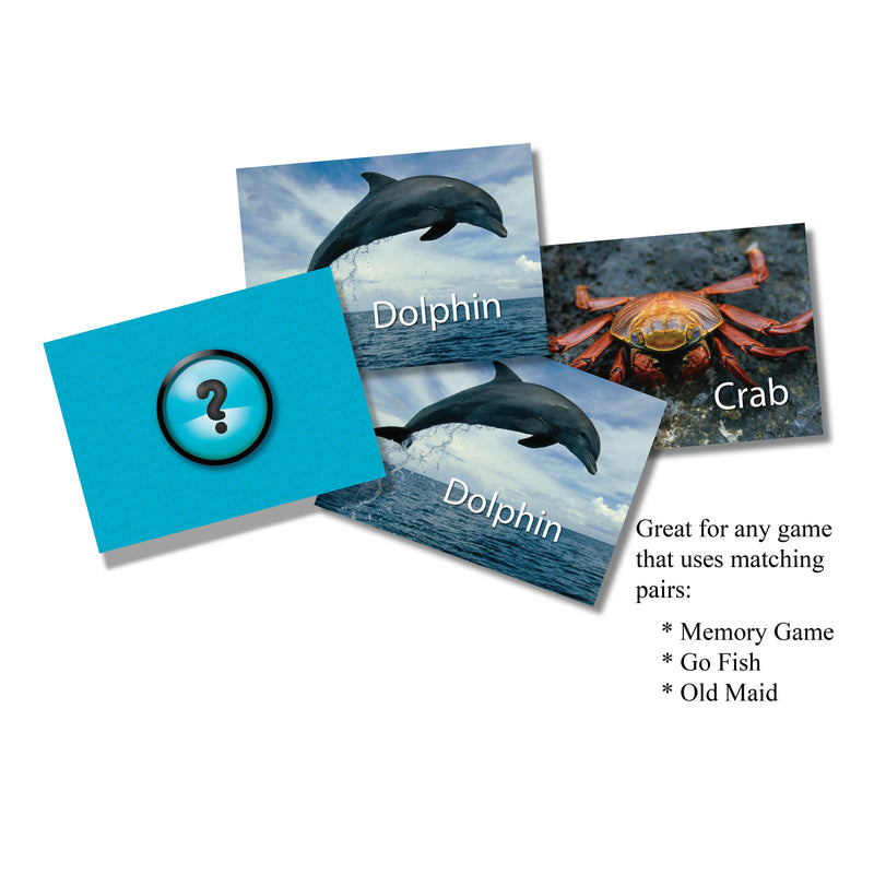 Sea Life Photographic Memory Matching Game
