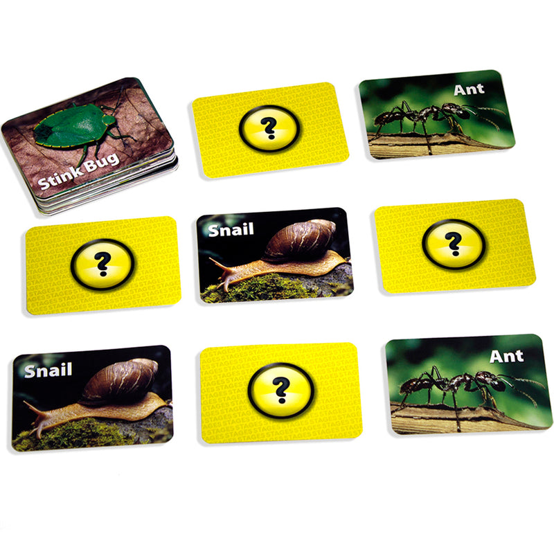 Insects & Bugs Photographic Memory Matching Game