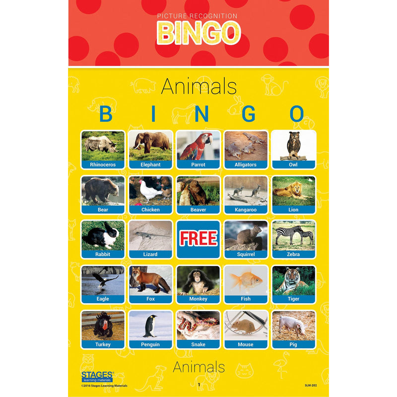 Picture Recognition Bingo Game 5 St