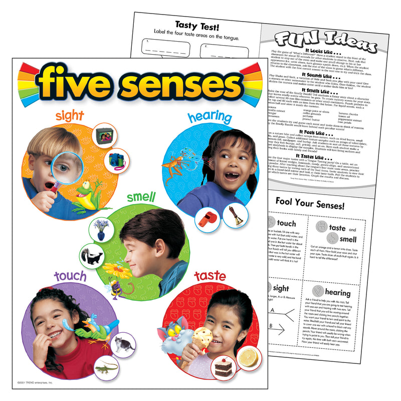 Chart Five Senses 17 X 22 Gr Pk-2