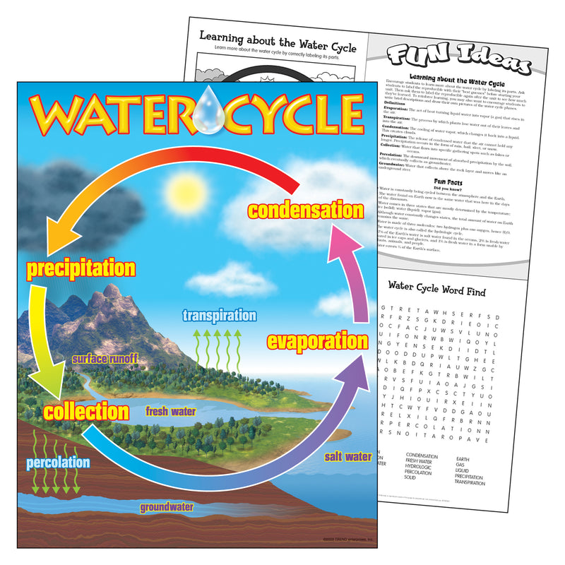 Chart The Water Cycle