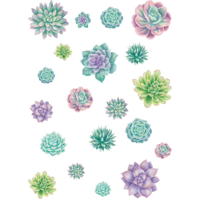 (3 Pk) Rustic Bloom Succulents Accnts Asst Sizes