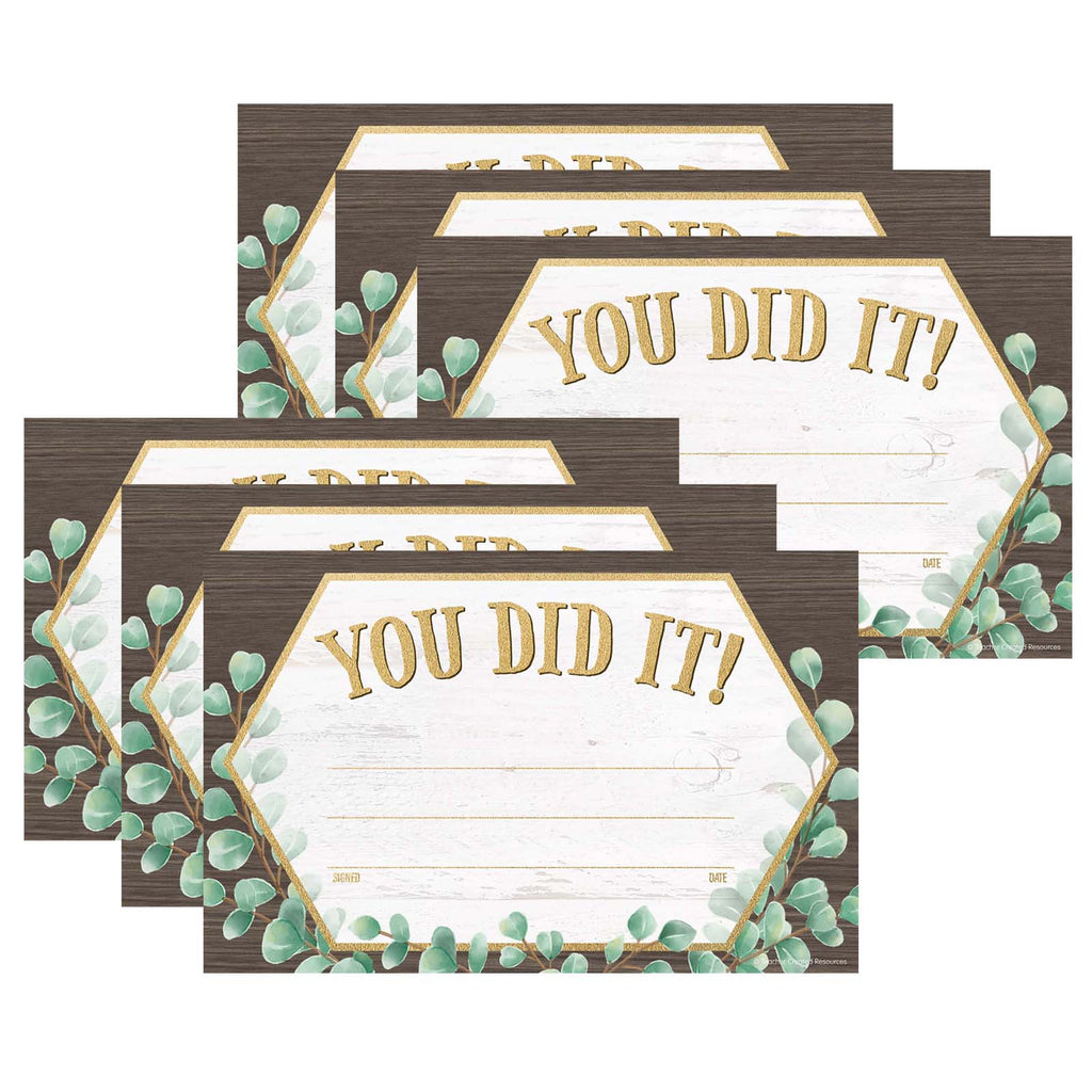 (6 Pk) Eucalyptus You Did It Awards