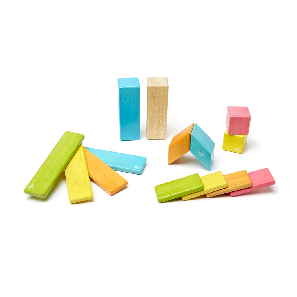 14 Piece Tints Set