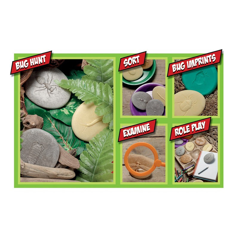 Play And Explore Bugs