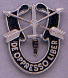 Rothco Special Forces Crest Pin