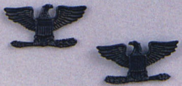 Rothco Colonel Insignia