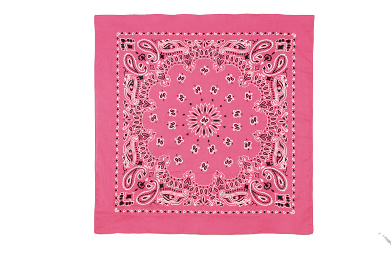 Rothco Trainmen Paisley Bandana - 22" X 22"